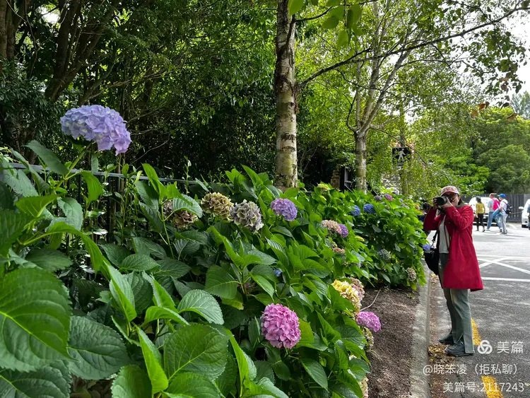 🇳🇿新西兰之旅随记